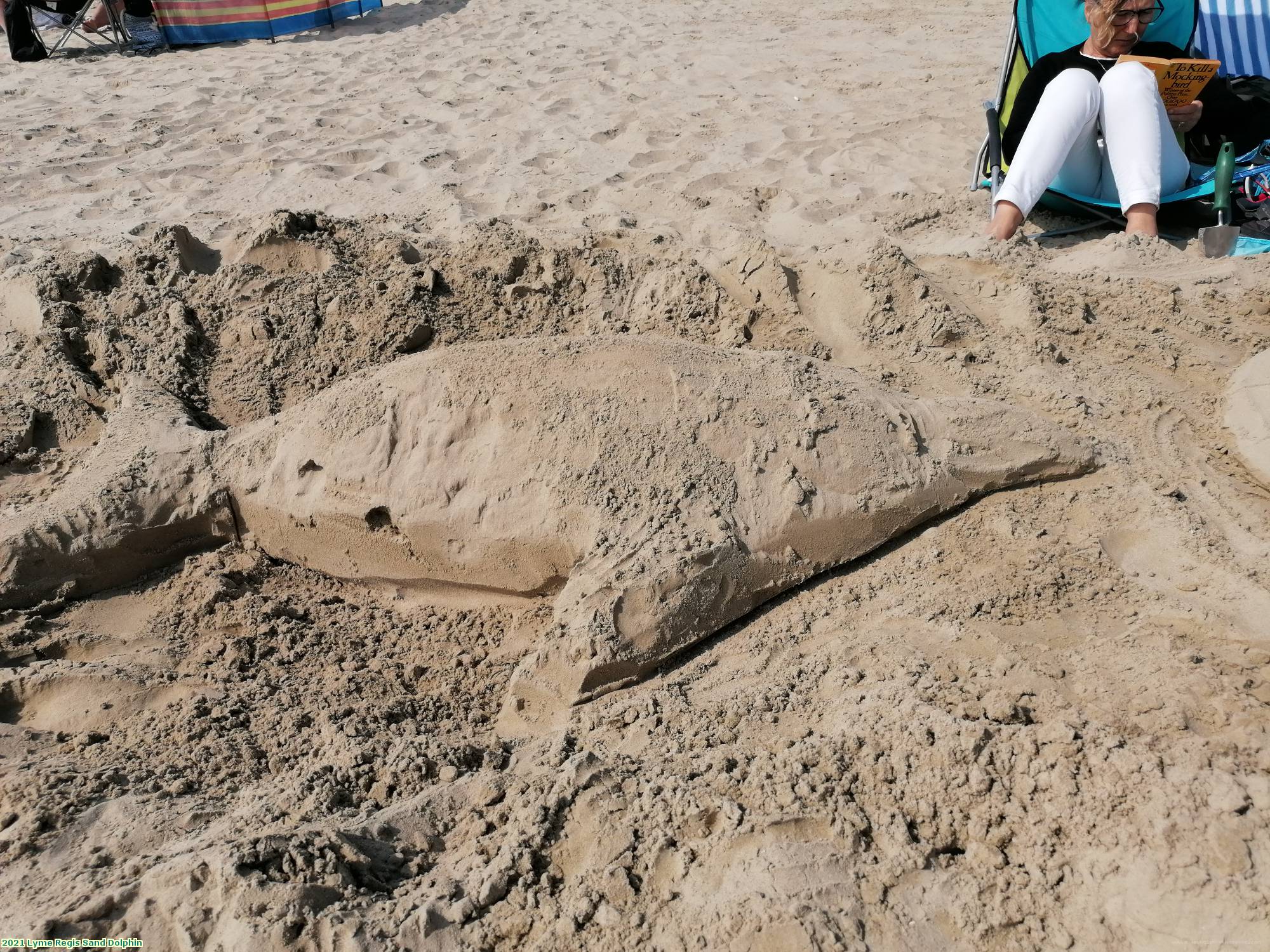 2021 Lyme Regis Sand Dolphin