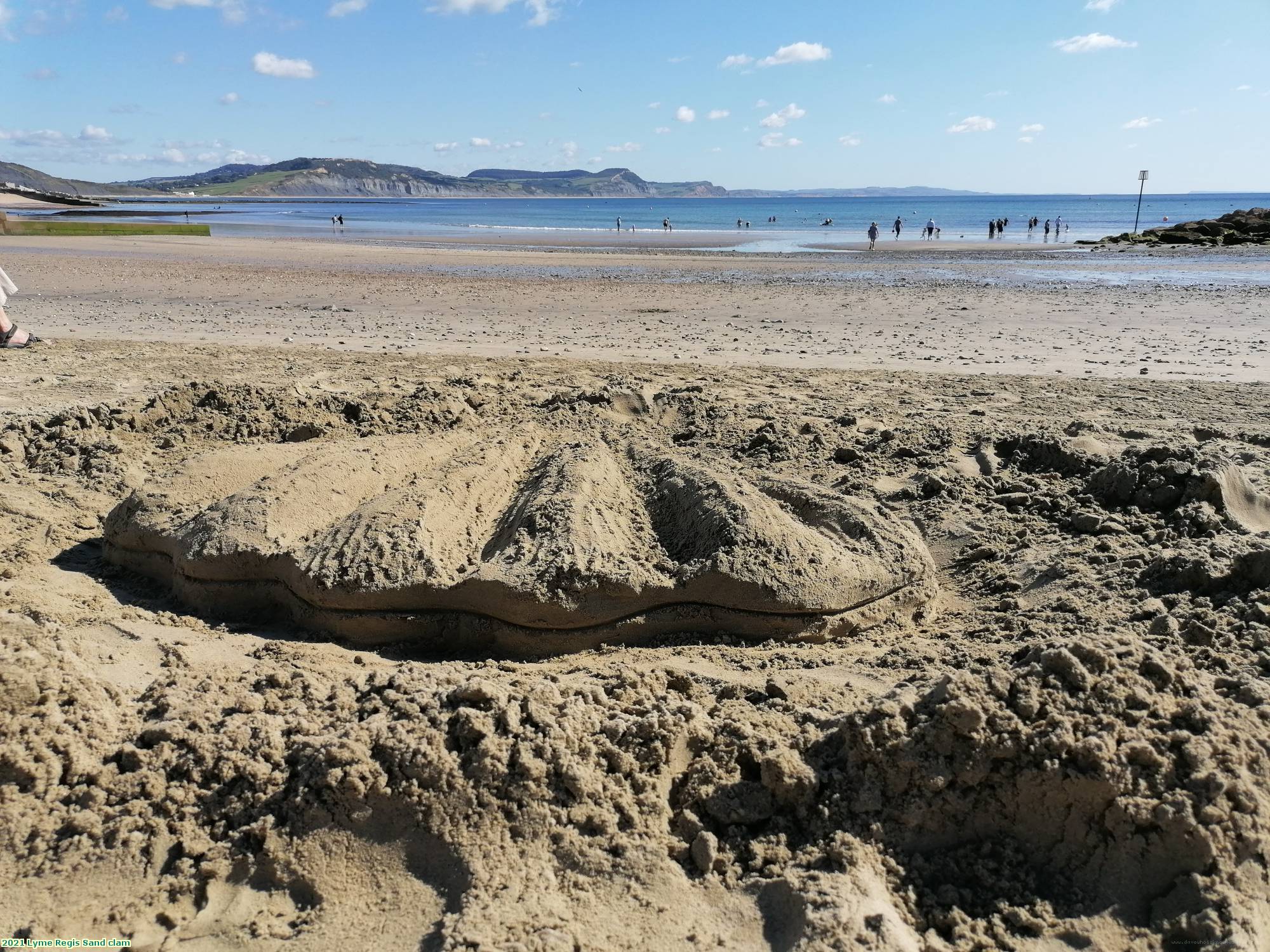 2021 Lyme Regis Sand clam