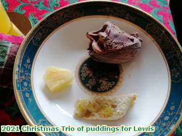  xmas 2021 Christmas Trio of puddings for Lewis