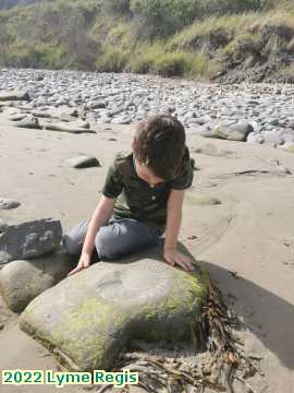  lyme3a 2022 Lyme Regis  Lewis Fossil hunting