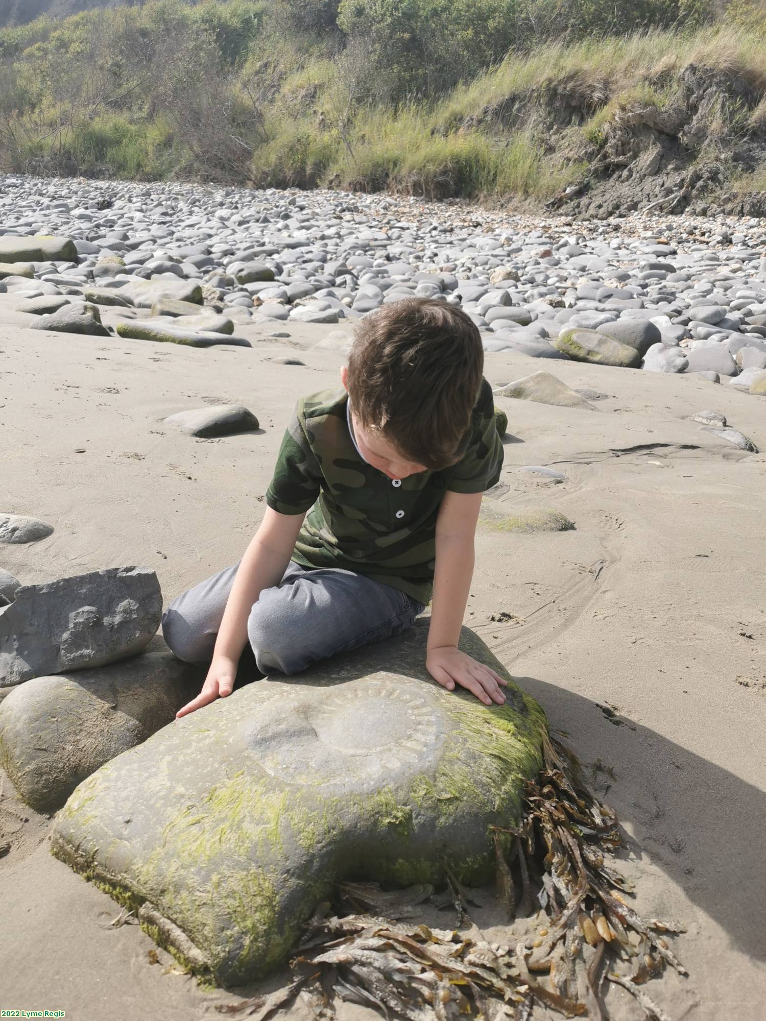 2022 Lyme Regis  Lewis Fossil hunting