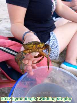  lyme3c 2022 Lyme Regis Crabbing