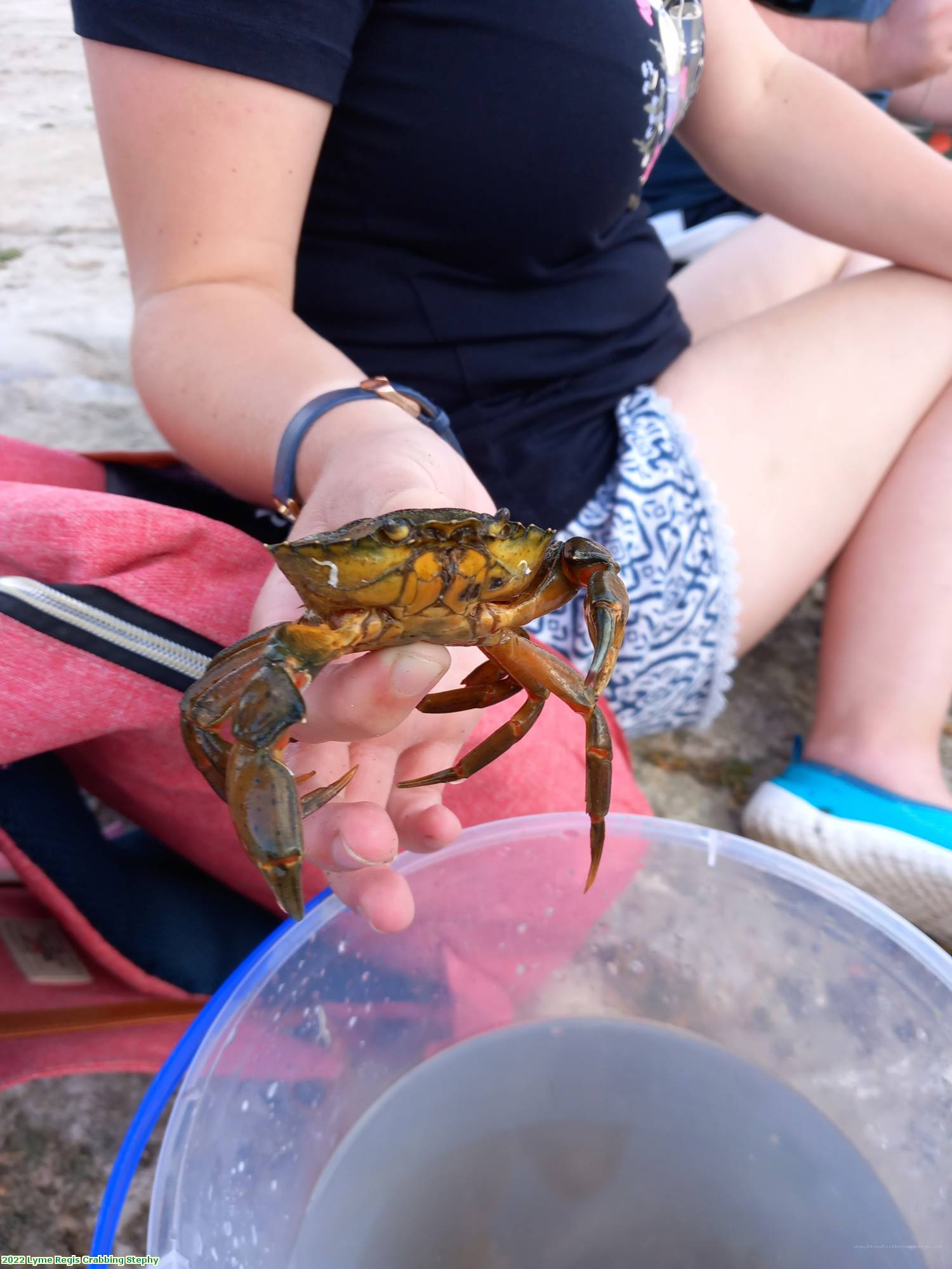 2022 Lyme Regis Crabbing