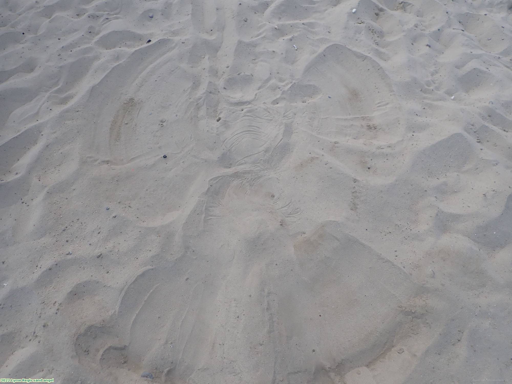 2022 Lyme Regis sand angel